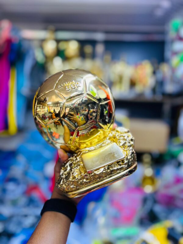 Individuals and team trophies