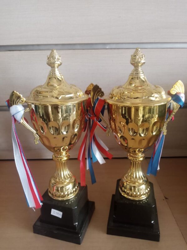 Premium Custom Achievement Trophies and Medals – Personalized Gold Awards for Sports & Recognition
